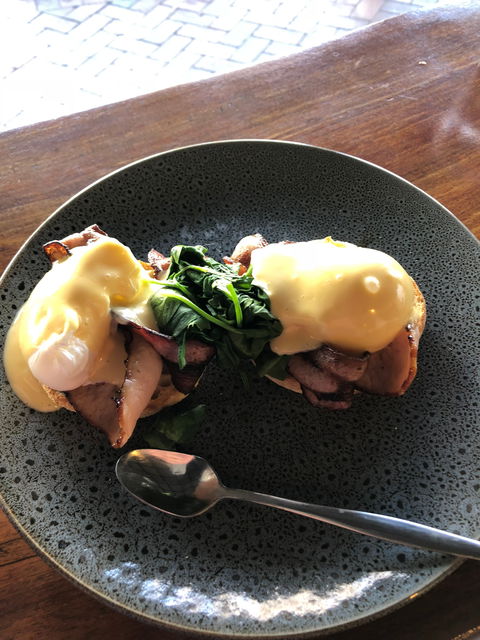 Cafe Ziva - Accommodation Gladstone 4