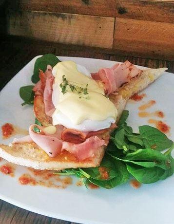 Blue Jay Cafe - Accommodation Gladstone 15