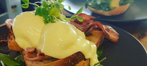Blue Jay Cafe - Accommodation Gladstone 1