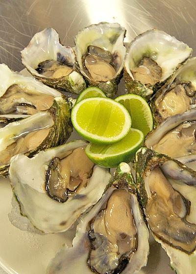 Wild Harvest Restaurant King Island - Accommodation Gladstone 6
