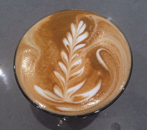 Daily Bean Cafe - Accommodation Gladstone 21