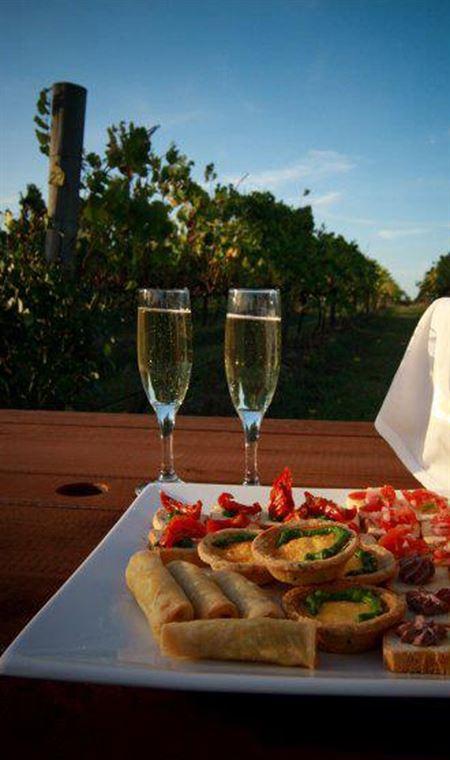 Wild Cattle Creek Estate Restaurant - Accommodation Gladstone 14