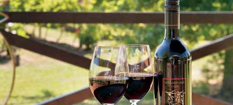 Wild Cattle Creek Estate Restaurant - Accommodation Gladstone 4