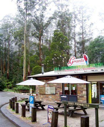 Kangaroo Island Fresh Seafoods And Takeaway - Accommodation Gladstone 5