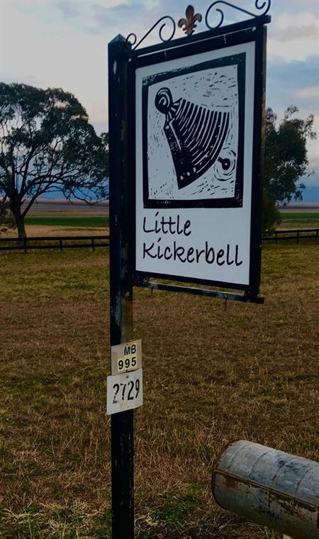 Little Kickerbell - Accommodation Gladstone 1