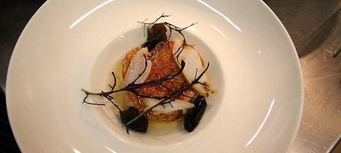 The Peak Restaurant At Spicers Peak Lodge - Accommodation Gladstone 1