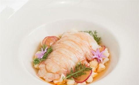 The Peak Restaurant At Spicers Peak Lodge - Accommodation Gladstone 8