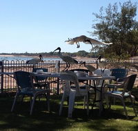 Darwin Ski Club - Little Miss Chef - Accommodation Gladstone