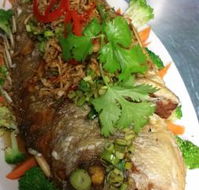 Vanidol's Asian Cuisine - Accommodation Gladstone