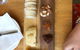 Ashgrove - thumb 5