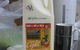 Ashgrove - thumb 6