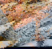 Lawley's Bakery Cafe