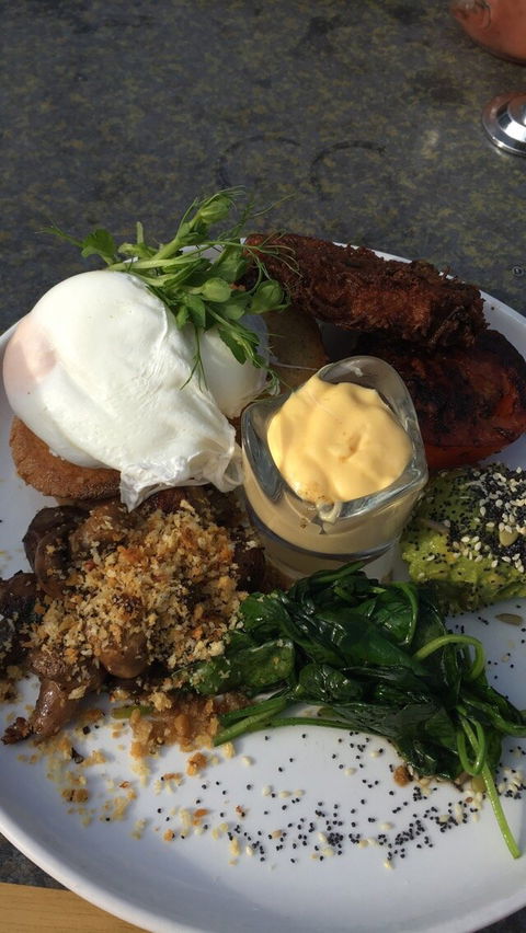 Surfing Lizard Cafe - Accommodation Gladstone 4