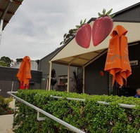 Green Valley Strawberries - Accommodation Gladstone