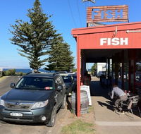 Fish - Accommodation Gladstone