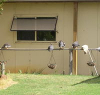 Sandy Grove - Accommodation Gladstone