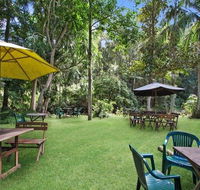 Rainforest - Accommodation Gladstone