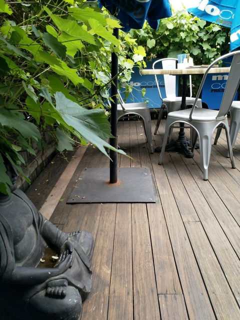 Willow Tree Cafe - Accommodation Gladstone 3
