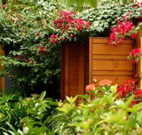 Pink Flamingo - Accommodation Gladstone