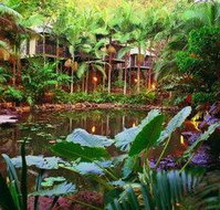 Daintree Eco Lodge  Spa - Accommodation Gladstone