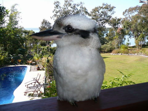 Yarrandabbi Dreaming Boutique B&B - Accommodation Gladstone 2