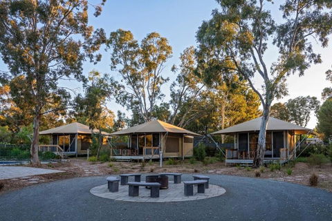 Discovery Parks Barossa Valley - Accommodation Gladstone 0