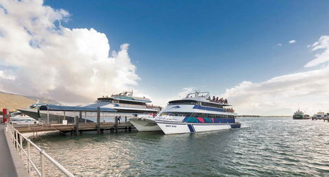 Sebel Cairns Harbour Lights - Accommodation Gladstone 16