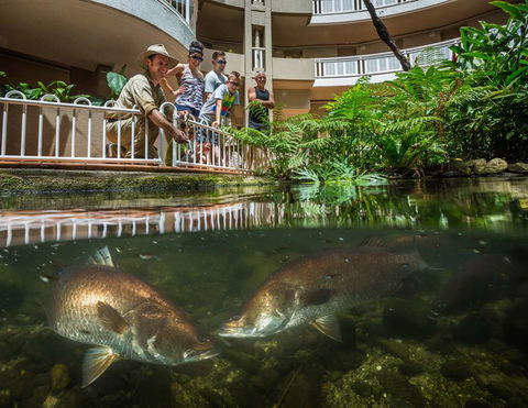 DoubleTree By Hilton Cairns - Accommodation Gladstone 4
