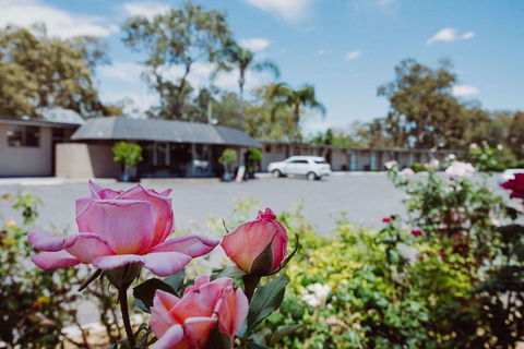 Artesian Spa Motor Inn - Accommodation Gladstone 2