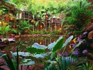 Daintree Eco Lodge & Spa - Accommodation Gladstone 0