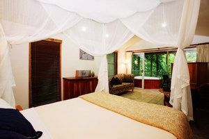 Daintree Eco Lodge & Spa - Accommodation Gladstone 1