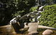 University House - ANU - thumb 33