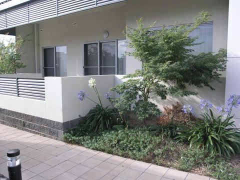 Kesh At Aamira - Accommodation Gladstone 16