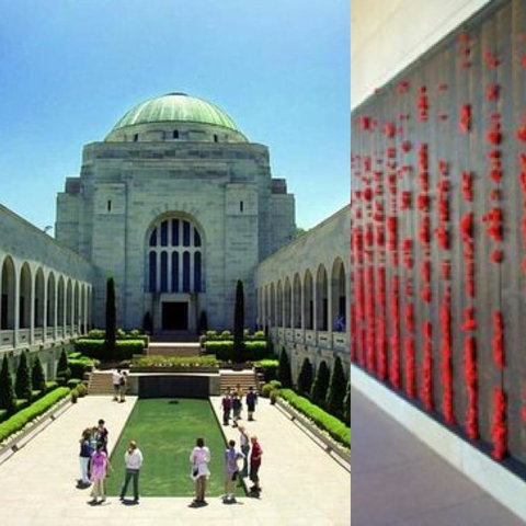 Modern Executive Apt@Barton*1BR*WiFi*Gym*Secure Parking*Canberra - Accommodation Gladstone 26