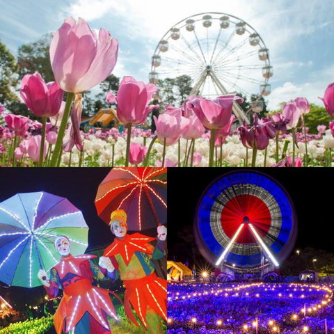 Modern Executive Apt@Barton*1BR*WiFi*Gym*Secure Parking*Canberra - Accommodation Gladstone 28