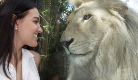 Modern Executive Apt@Barton*1BR*WiFi*Gym*Secure Parking*Canberra - Accommodation Gladstone 30