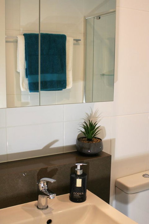 Modern Executive Apt@Barton*1BR*WiFi*Gym*Secure Parking*Canberra - Accommodation Gladstone 13