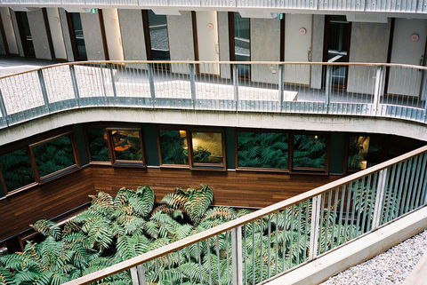 Ovolo Nishi - Accommodation Gladstone 37