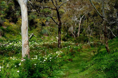 Lure Bed And Breakfast - Accommodation Gladstone 17