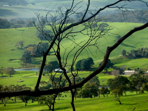 Lure Bed And Breakfast - Accommodation Gladstone 21