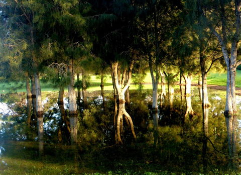 Lure Bed And Breakfast - Accommodation Gladstone 18