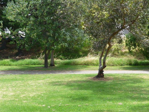 Victor Harbor Holiday Park - Accommodation Gladstone 24