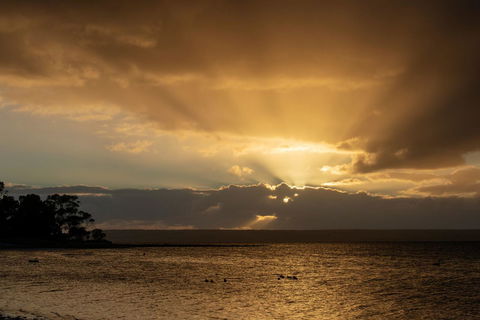 Mercure Kangaroo Island Lodge - Accommodation Gladstone 16