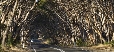 Mercure Kangaroo Island Lodge - Accommodation Gladstone 40