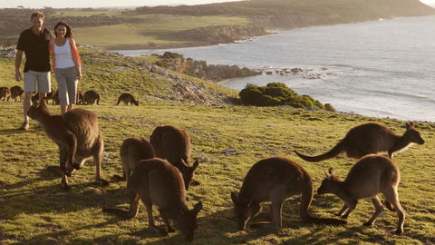 Kangaroo Island Seafront - Accommodation Gladstone 13