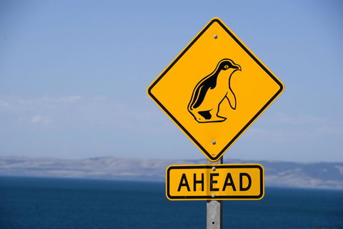 Kangaroo Island Seafront - Accommodation Gladstone 43