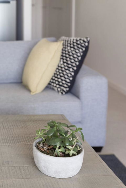 Port Adelaide Executive Waterfront Apartment - Accommodation Gladstone 18