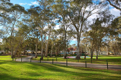 Discovery Parks - Clare - Accommodation Gladstone 19