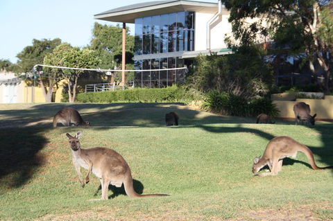 BreakFree Wirrina Cove - Accommodation Gladstone 28