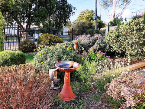 Beautiful Garden House - Accommodation Gladstone 21
